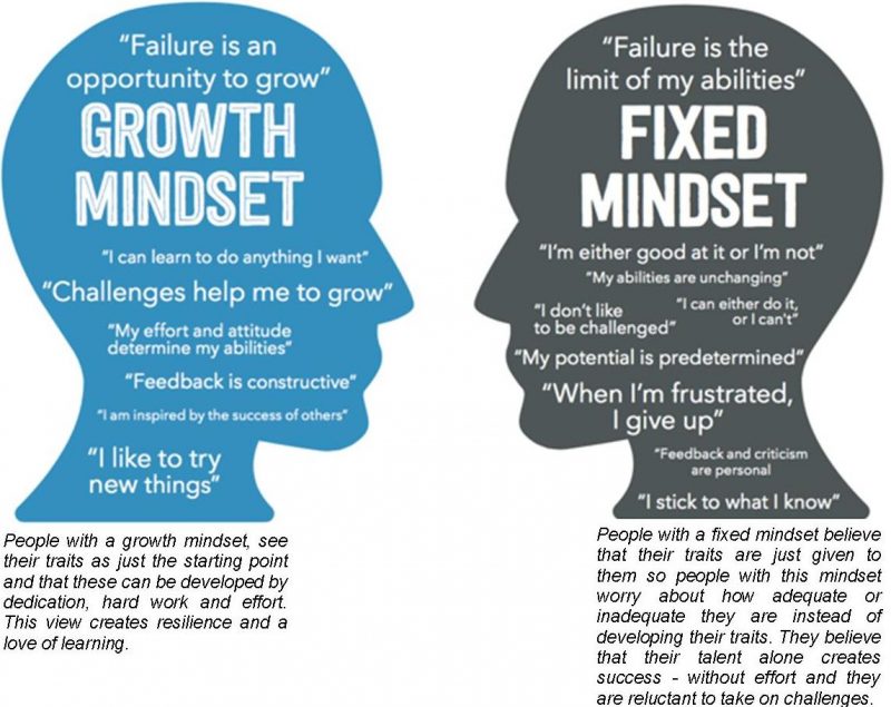 Read more about the article What is a Growth Mindset