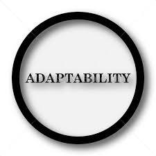 Read more about the article What is Adaptability Quotient (AQ)